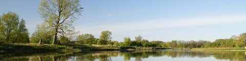 Land with greenery and water