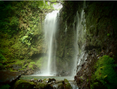A waterfall in the Costa Rican rainforest, surrounded by lush green foliage and lit by a ray of sunshine